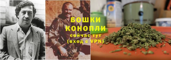 дмт Козловка