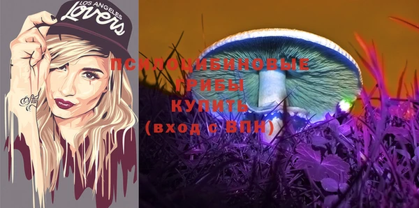 дмт Балахна
