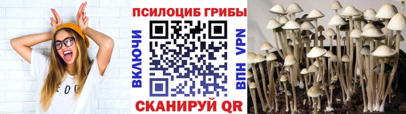площадка Telegram  Узловая  Галлюциногенные грибы GOLDEN TEACHER 